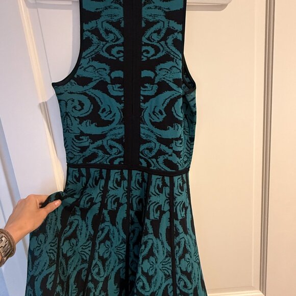 Kiley Printed Fit and Flare dress by Parker (medium) - Picture 5 of 5